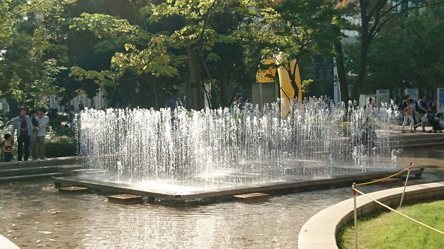 🌳 나카노 구립 사계절의 숲 공원(나카노 구립 시키노모리 공원) 이미지 12